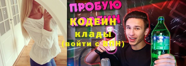 кокс Алексин
