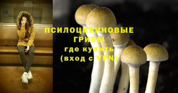 MDMA Алексеевка