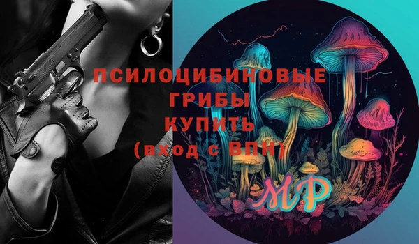 гидропоника Алзамай