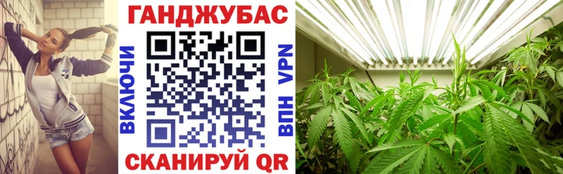закладки мориарти Telegram Конопля план Борзя